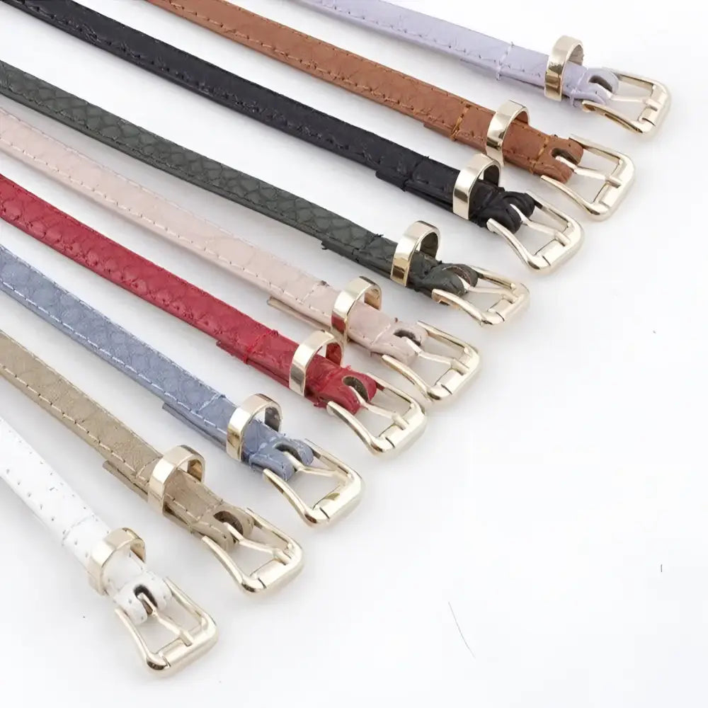 Agata belt featuring assorted thin textured belts with silver and gold buckles