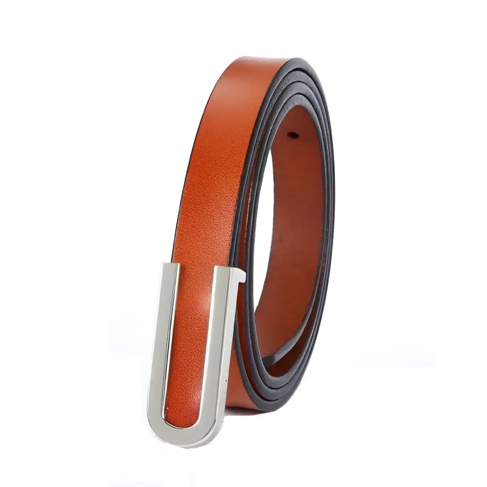 Brown leather belt with a silver U-shaped buckle from Assorted Leather Belts collection