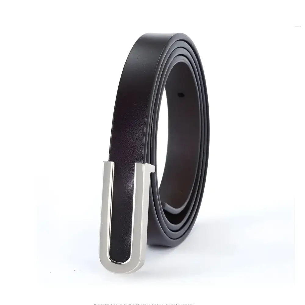 Assorted Leather Belts with Silver Buckles featuring a brown leather belt with U-shaped silver buckle