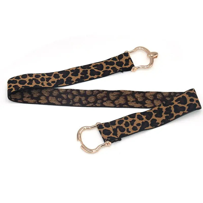 Leopard print belt with gold hardware from Brown Dress with Leopard Print Belt and Gold Buckle