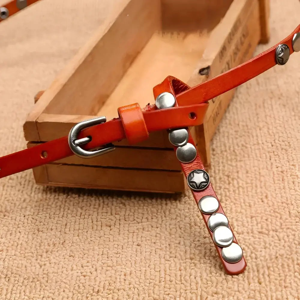 Orange leather studded belt from Alpui Women’s Leather Belt Collection for women