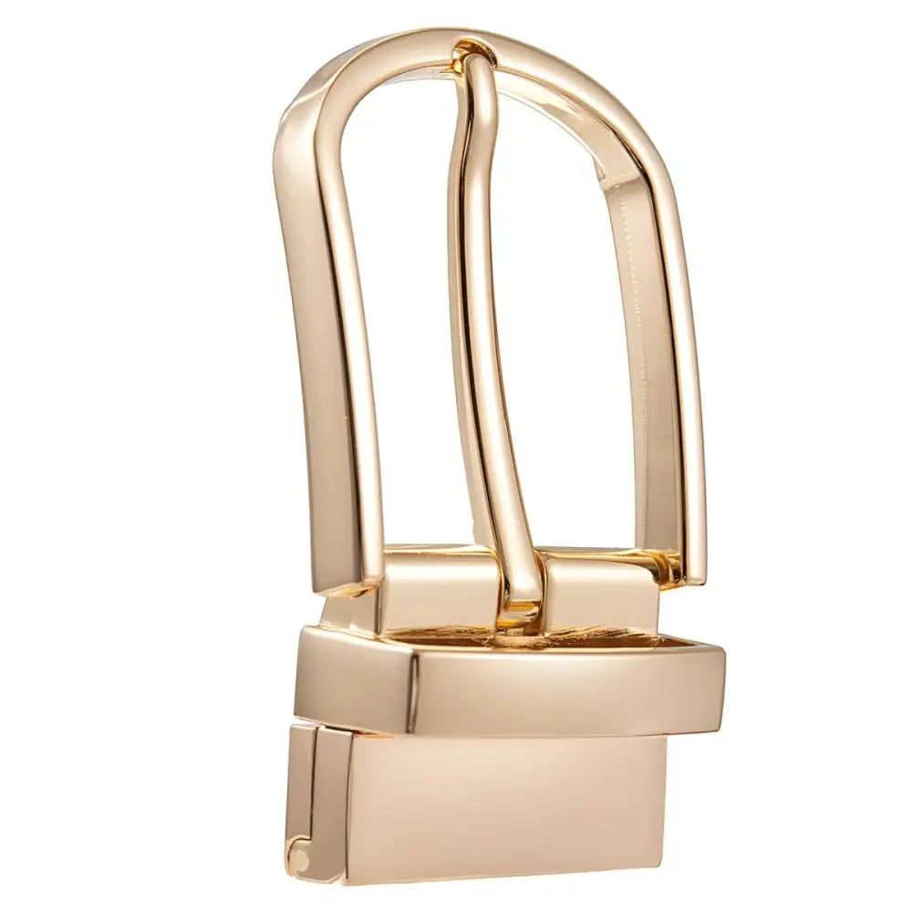 Gold-toned Polished Metal Abia Belt Buckle Set for Stylish Accessories