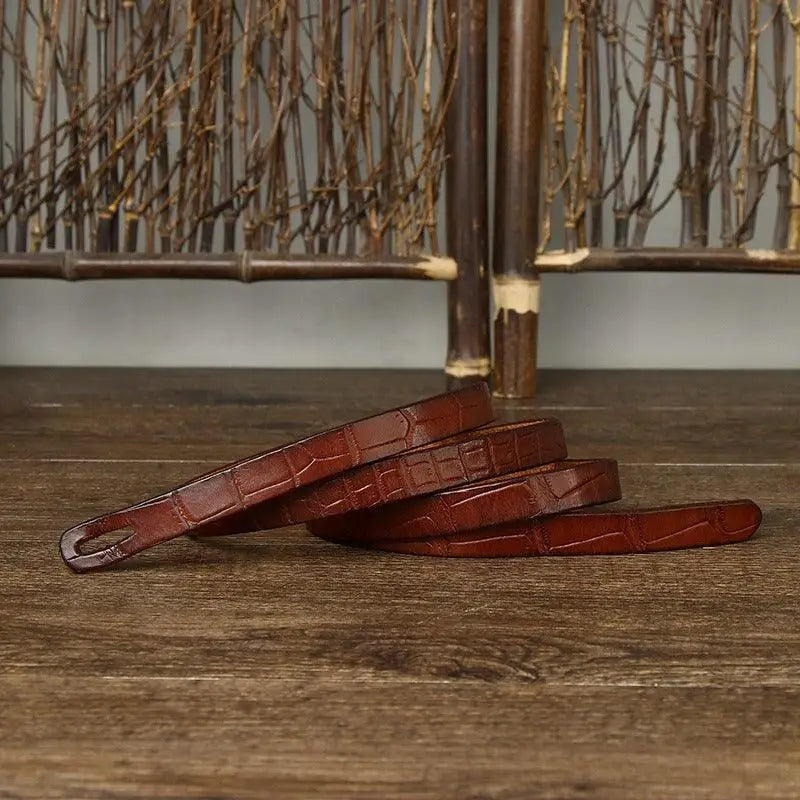 Brown crocodile-patterned tie belt from Assorted Faux Crocodile Leather Tie Belts and Belt Ubredice