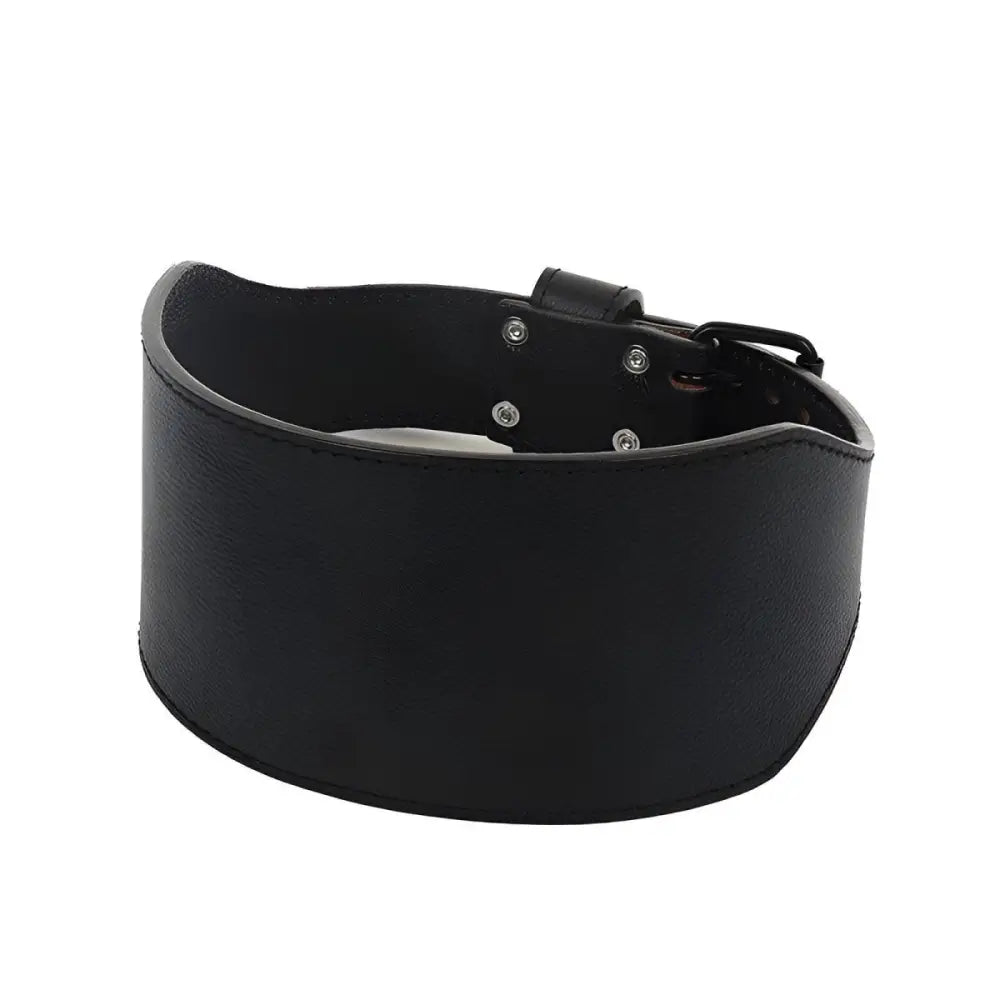Black leather double prong strength belt for weightlifting suitable for heavy lifts