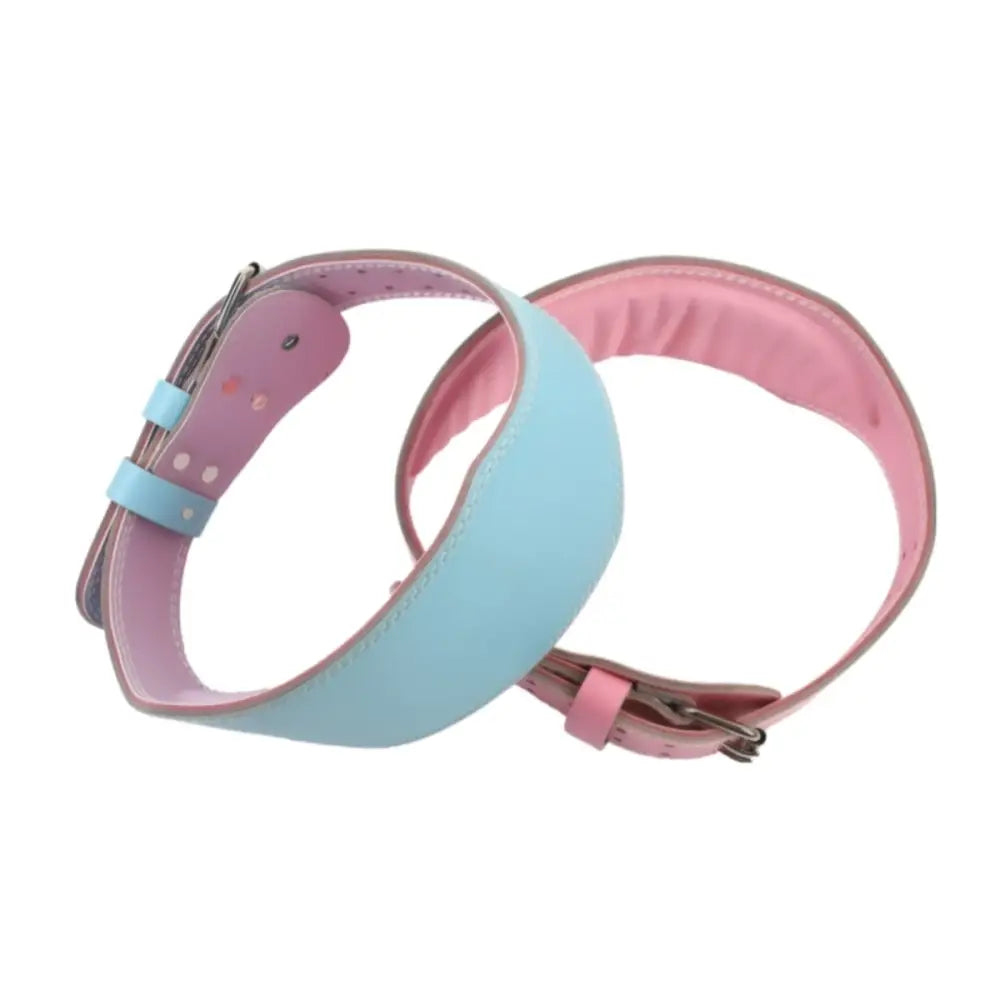 Pastel-colored dog collars from Elie Leather Power Belts collection featuring leather power belt designs