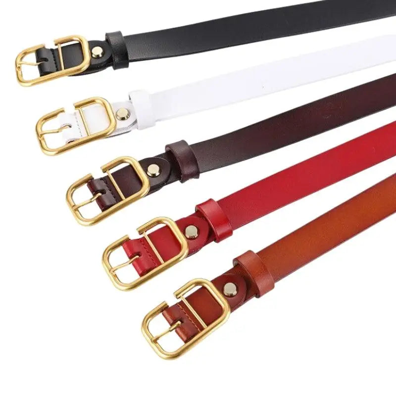 Set of three leather belts with gold buckles displayed in an elegant fashion