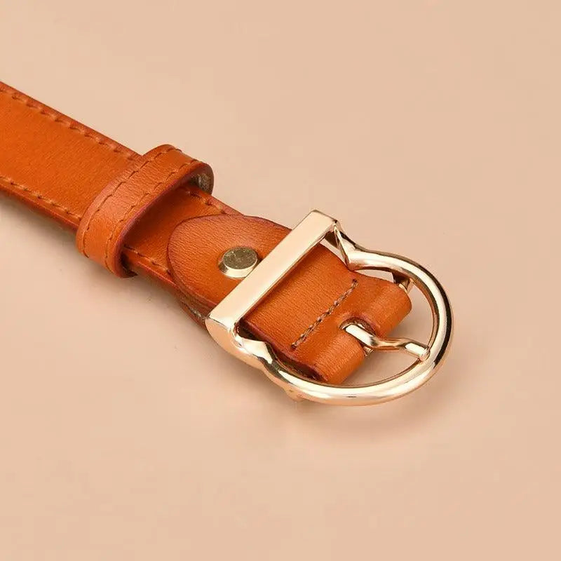 Orange leather belt with gold buckle from Assorted Colorful Leather Belts collection