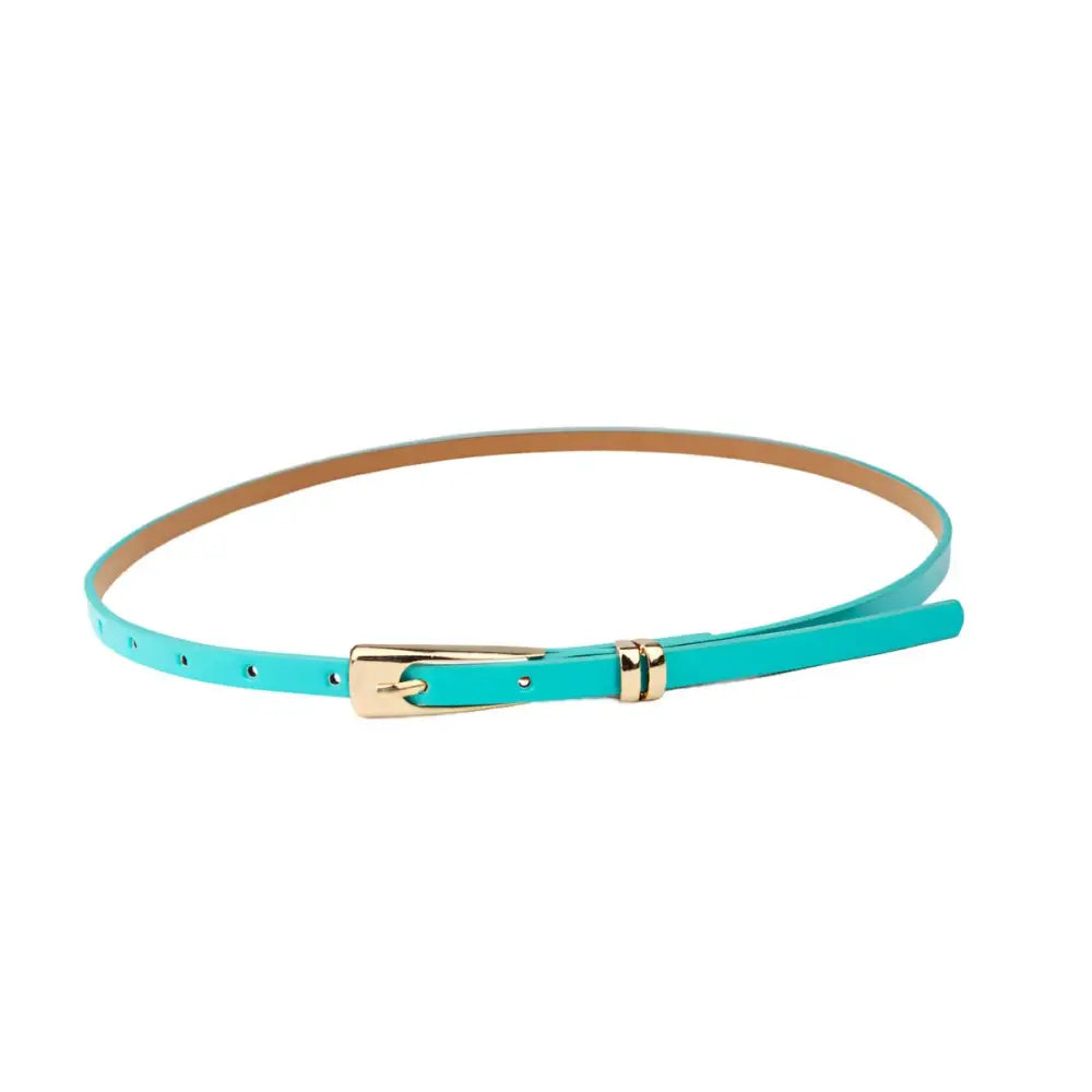 Turquoise belt with gold buckle from the Floral Dress with Phoenix Belt and Leopard Print Skinny Belt