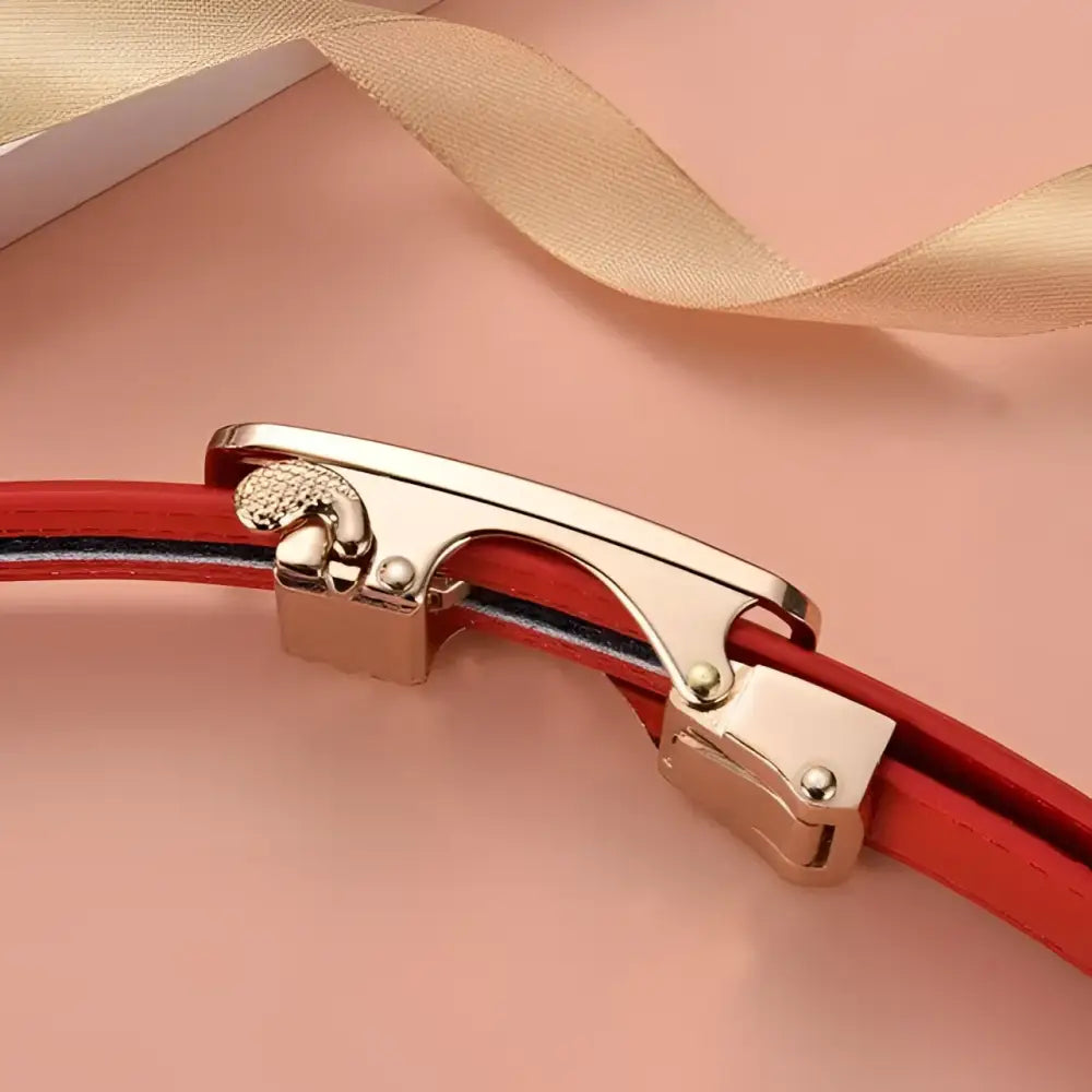 Red leather belt with a gold buckle from Decorative Red Leather Belts with Gold Buckles collection