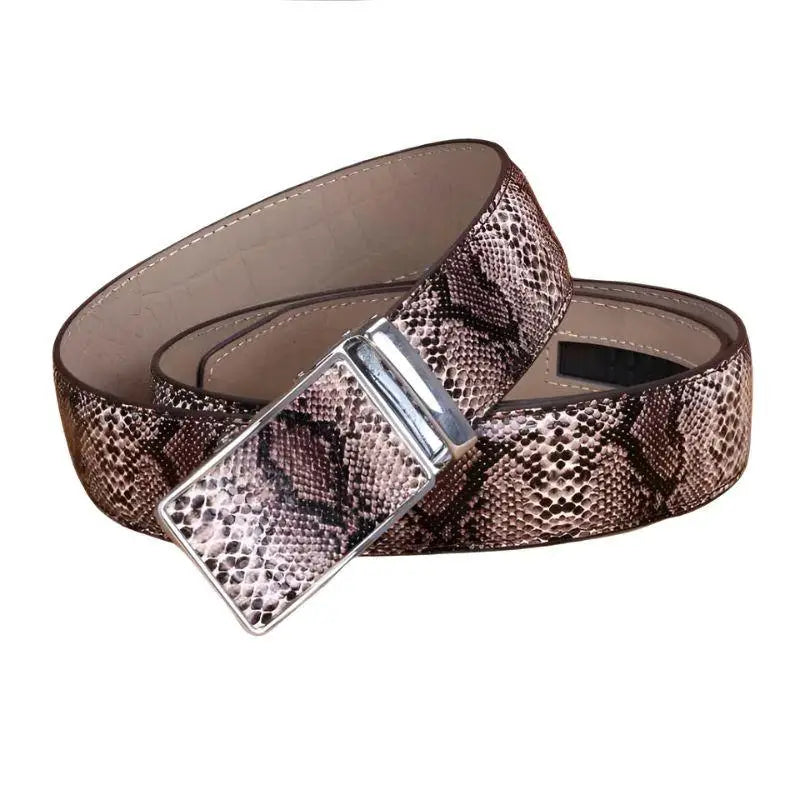 Snakeskin-patterned belt with a silver buckle displayed in the product Snakeskin Patterned Belt with Silver Buckle