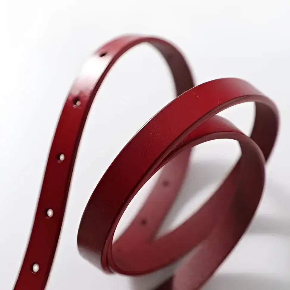 Red leather Zaka Women’s Belt with adjustment holes from Zaka Women’s Collection